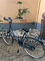 Fahrrad damen Niedersachsen - Osterholz-Scharmbeck Vorschau