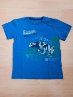 blaues T-Shirts "Baumsteiger" (Marke: Jako-o, Gr. 128/134) Bayern - Bessenbach Vorschau