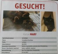 Katze vermisst Niedersachsen - Aurich Vorschau
