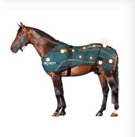 Bemer Horse-Set Decke Magnetfeld Gamaschen mieten Niedersachsen - Friedeburg Vorschau