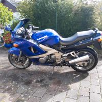 Kawasaki ZZR 600 Schleswig-Holstein - Kappeln Vorschau