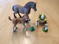 Schleich Set Horse Club Pferd mit Fohlen , Hund und Zubehör Niedersachsen - Wolfsburg Vorschau