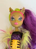 Monster high freaky Fusion Clawvenus Bayern - Röthenbach Vorschau