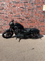 Harley Davidson Iron 883 ( umgebaut auf 1200) Baden-Württemberg - Kornwestheim Vorschau