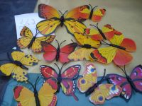 12 Schmetterlinge bunt Hessen - Friedrichsdorf Vorschau