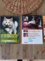 5 Katzenbücher Bücher Katze Frischfütterung Bach-Blüten Spiele Kreis Ostholstein - Süsel Vorschau