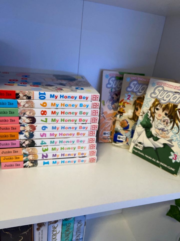 My Honey Boy 1-10 Manga + extra in Bad Pyrmont