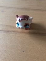 Littlest Pet Shop Meerschweinchen Nordrhein-Westfalen - Neuss Vorschau