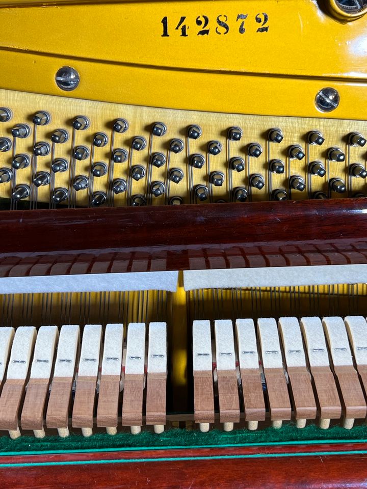 C. Bechstein Klavier Model 8 - 128, Baujahr 1950 Wurzel braun in Ahrensburg