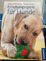 Erziehungsspiele für Hunde Niedersachsen - Seevetal Vorschau