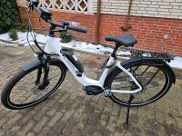 E-Bike Falter E 9.0 RT 500 Wave Kreis Pinneberg - Haseldorf Vorschau