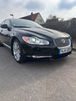 Jaguar xf Scheinwerfer H 7 Europa Niedersachsen - Nordstemmen Vorschau