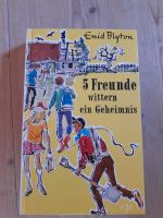 5 Freunde wittern ein Geheimnis Enid Blyton Schleswig-Holstein - Büdelsdorf Vorschau