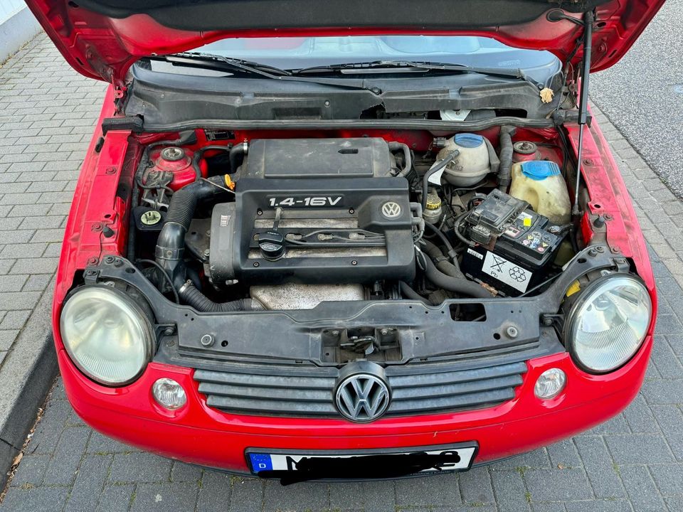 Volkswagen Lupo 1.4 AUTO BASIS Basis in Hofheim am Taunus