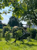 Gazelle A-Touren Herren Fahrrad Nordrhein-Westfalen - Krefeld Vorschau