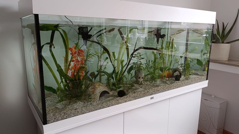 Juwel Aquarium 120x40x50cm Weiß in Kleve
