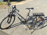 Head Fahrrad 26 Zoll Xenon 8.8 Lady Hessen - Neustadt Vorschau