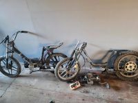 Hercules Prima 5S Mofa Moped mit Sachs 505 Bayern - Kirchenlamitz Vorschau