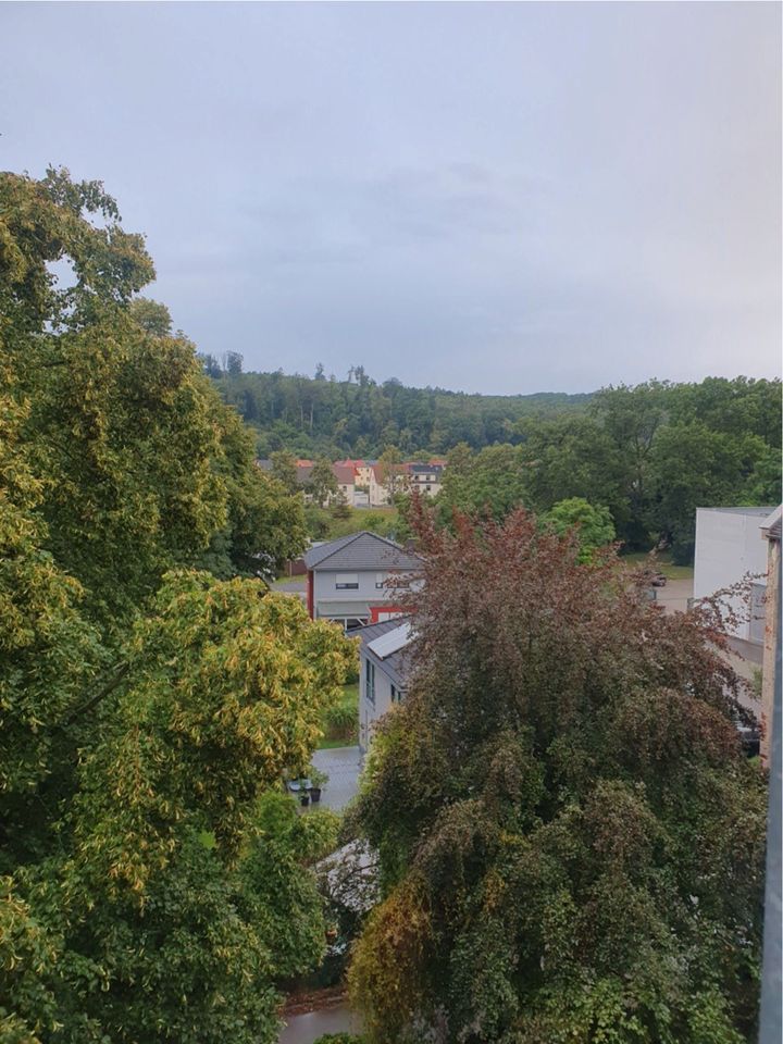 3 Raumwohnung mit Balkon neu saniert mit tollem Ausblick in Gera in Gera