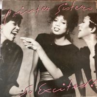 Pointer Sisters So Excited LP 12“ Vinyl Schallplatte Album Niedersachsen - Westerstede Vorschau