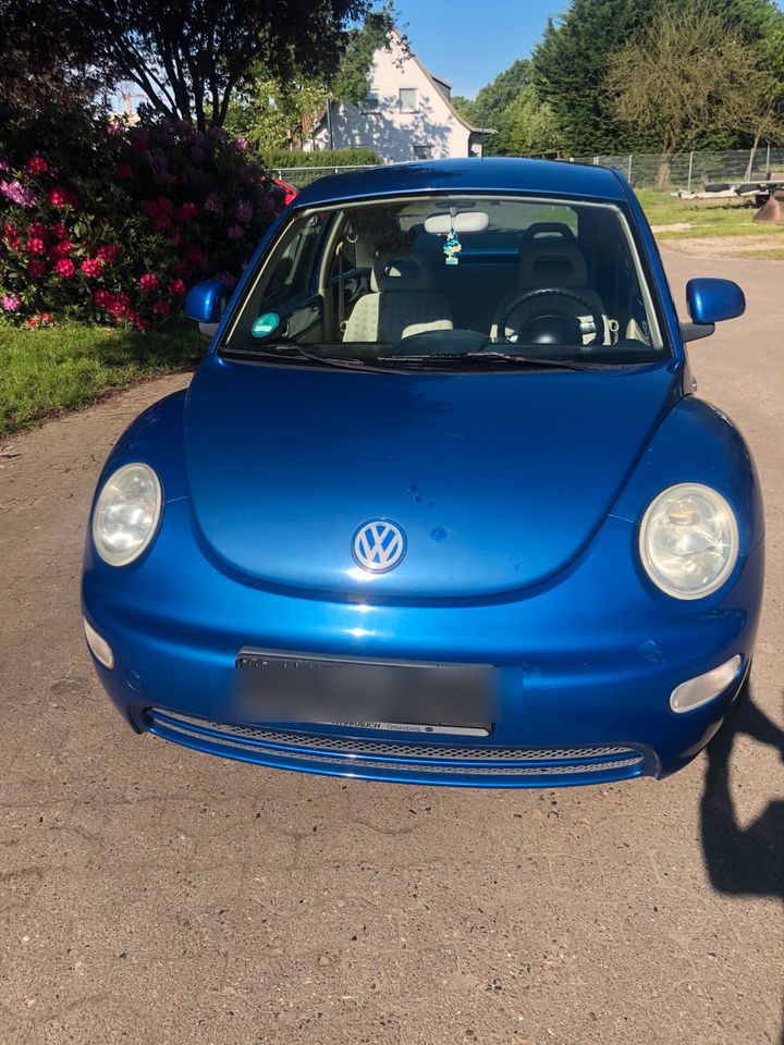 VW Beetle TÜV NEU in Sottrum