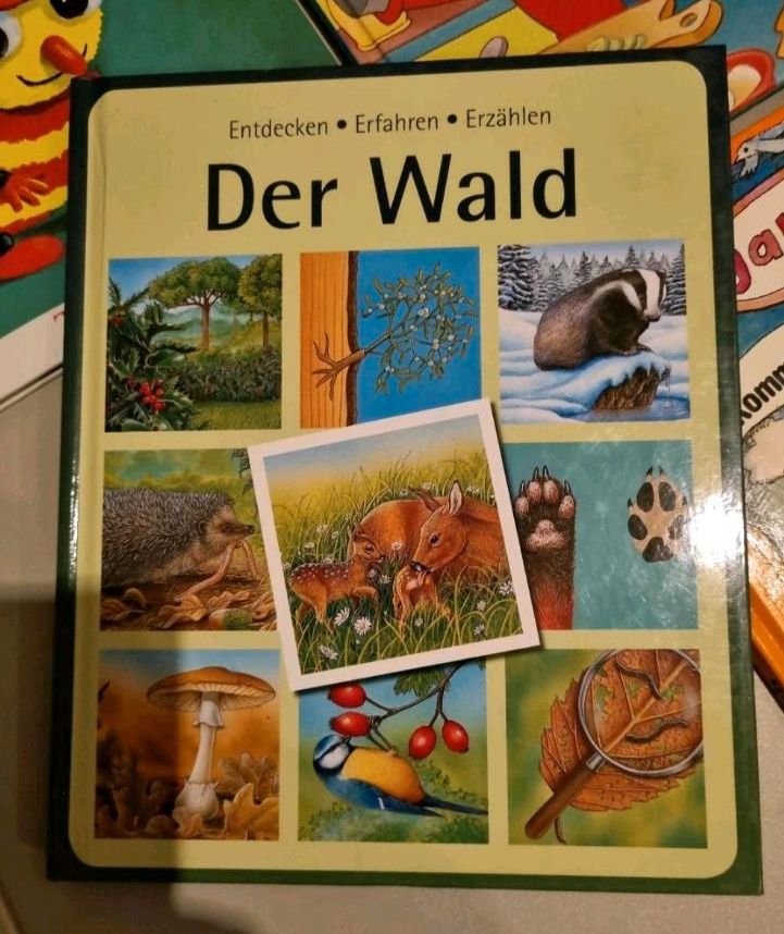 Kinderbücher | Tiger und Bär | Janosch | Zoo in Neuss