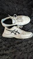 Asics Laufschuhe in Größe 43,5 Niedersachsen - Wunstorf Vorschau