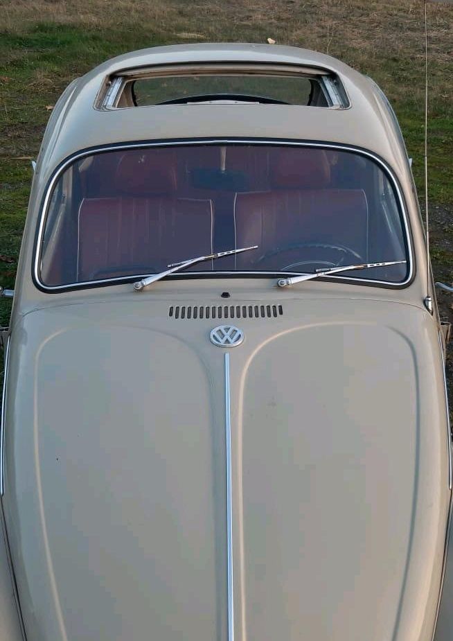 VW Käfer 1500 Bj.1970 in Alzenau