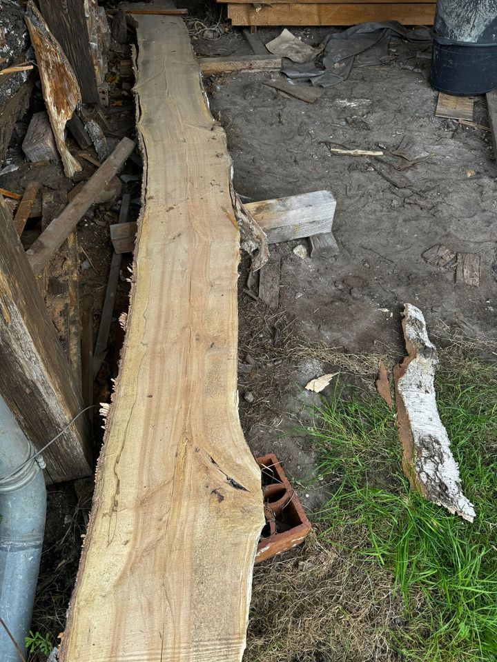 Holzbohlen Birke verschiedene Stärken ca. 30cm breit 3,10m lang in Friedland (Mark)