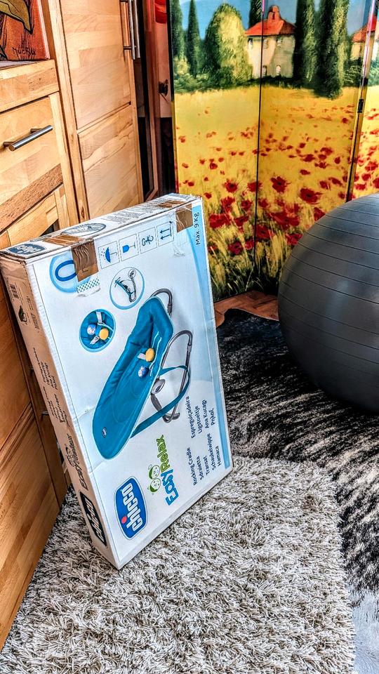 MÖVENPICK Eiskarte Eisschild Werbeschild Sortimenthülle in Braunschweig
