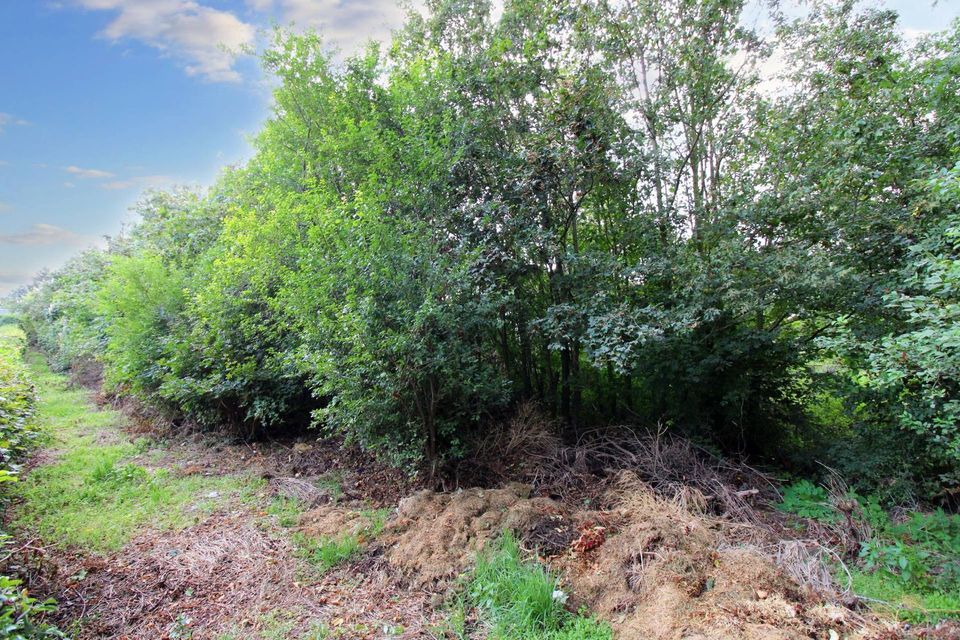 Zeit zur Entspannung: Großes Gartengrundstück in ruhiger Lage von Teutschenthal in Teutschenthal