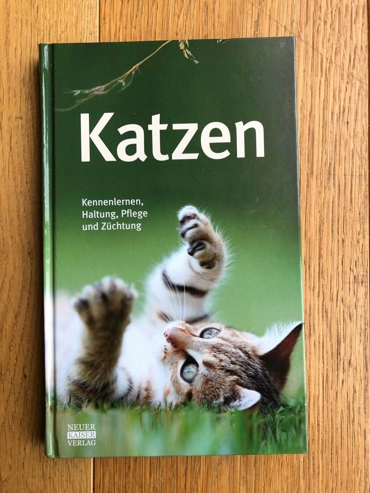 Sachbuch: Katzen - Kennenlernen, Haltung, Pflege + Züchtung in Heikendorf