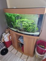 Juwel Aquarium RIO 180 mit LED-Beleuchtung und Unterschrank Baden-Württemberg - Niedereschach Vorschau