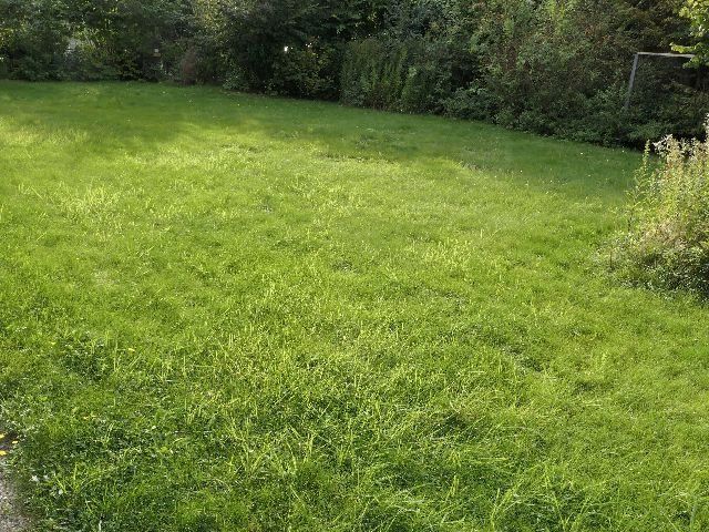 Großes junges Haus mit zwei mgl. Wohnetagen, Garten, Balkon und Terrasse im Herzen von Nienstädt! in Nienstädt