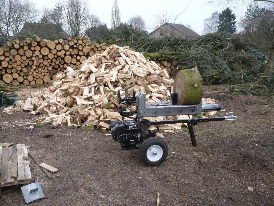 Holzspalter mieten mit 20 to Spaltkraft und sparsamen Benzinmotor in Ganderkesee