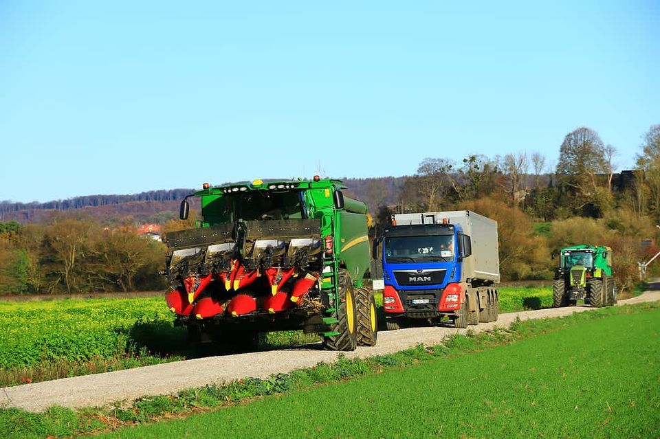 Körnermais Dreschen, Feuchtmais Vermarktung, Lohndrusch, Mais in Harsum