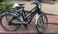 Flyer E-Bike 26/28“ Nuvinci Magura groß Akkus Top Zustand 6-8 Stk Schleswig-Holstein - Wilster Vorschau