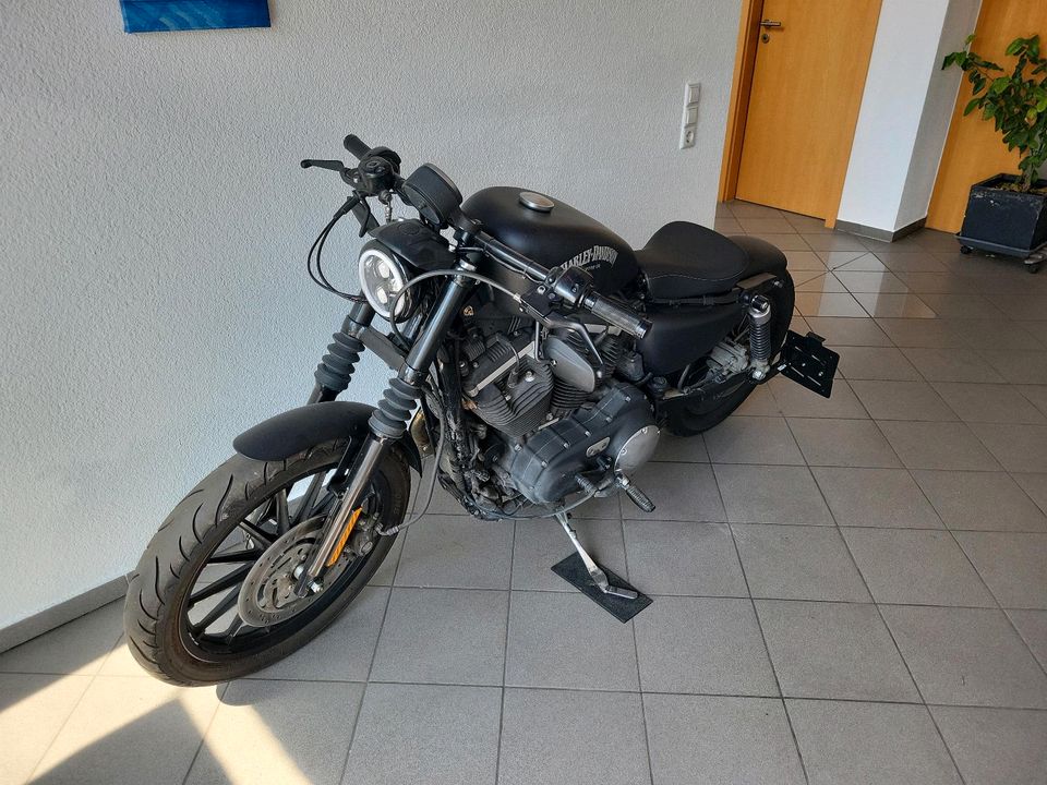 Harley Davidson Sportster 883 XL Iron Matt-Schwarz / Kurz Heck in Donzdorf