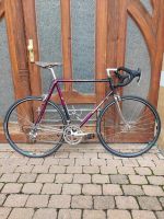 Vintage Rennrad Diamant RH 60 Sachsen-Anhalt - Dessau-Roßlau Vorschau