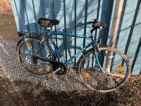 Herrenfahrrad 28 Zoll Sachsen - Flöha  Vorschau