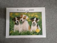 1000 Puzzle Hundewelpen Münster (Westfalen) - Amelsbüren Vorschau