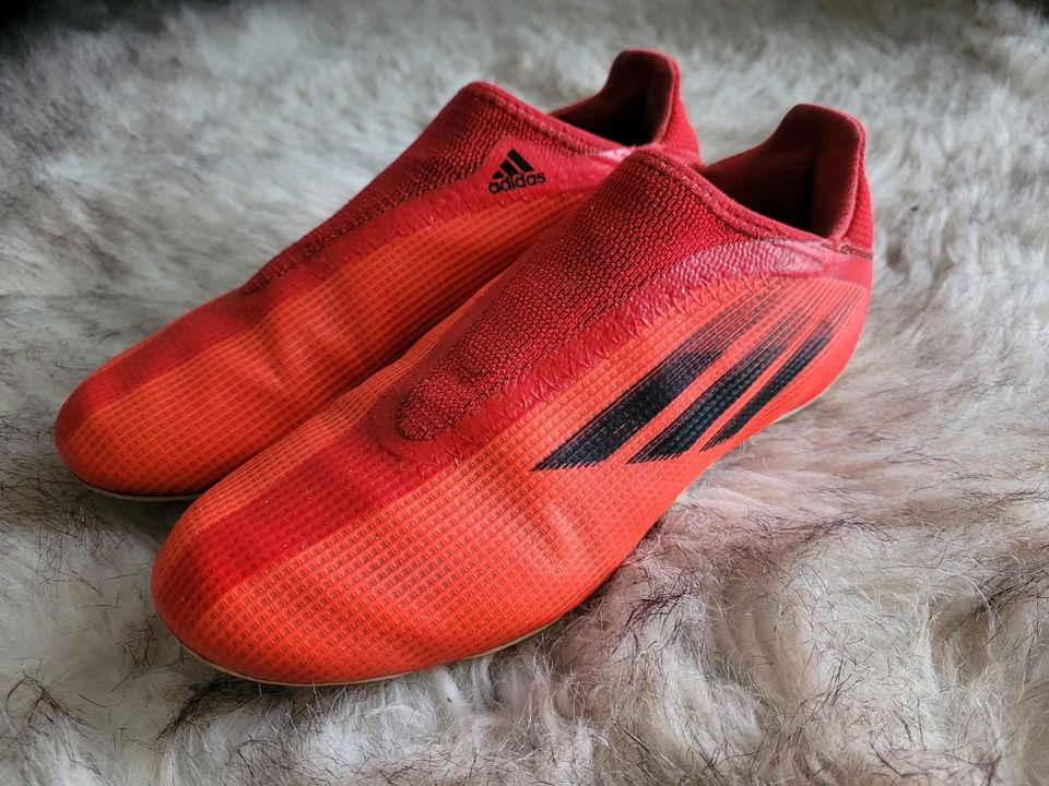 Adidas Fußballschuhe Gr. 36 in Gau-Bickelheim