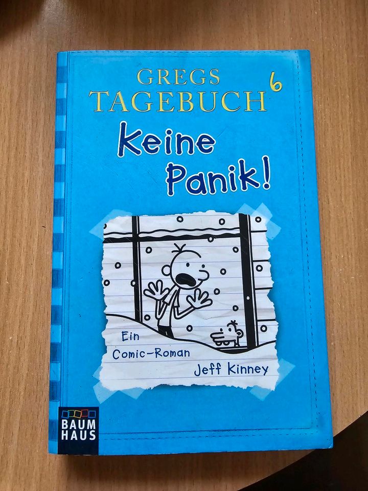 Gregs Tagebuch 1/2/6/Buch Kinderbuch in Bitterfeld
