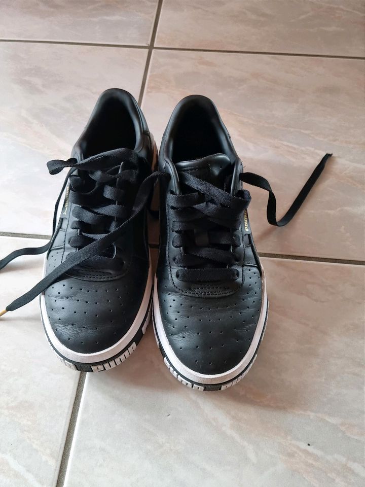 Puma Sneaker, Größe 38,5 in Grasleben