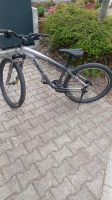 MTB 15 Zoll von Specialized Bayern - Mering Vorschau