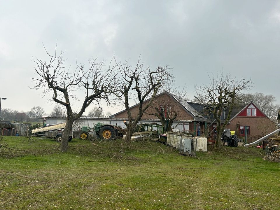 Gartenarbeiten aller Art in Berne