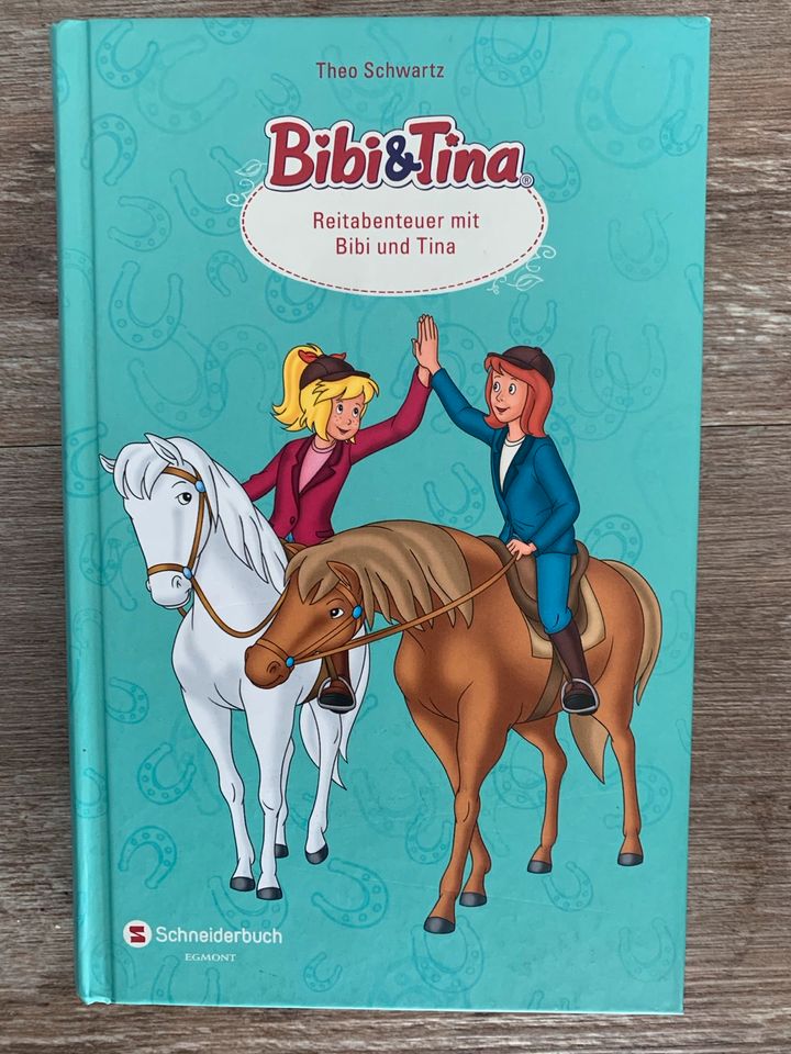 Bibi&Tina Buch Reitabenteuer mit Bibi und Tina neuwertig in Vellberg