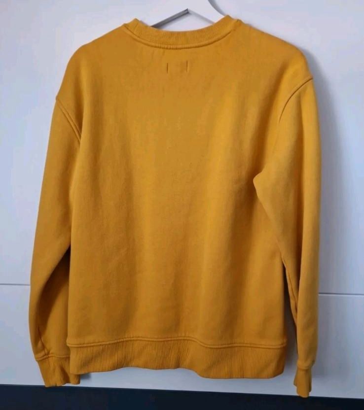 Tommy Jeans Classics Sweatshirt Pullover MANGO MOJITO Gr. M/L in Bremen