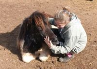 Tageskinder Ponytage in den Ferien Sonderpreis Bayern - Tuntenhausen Vorschau