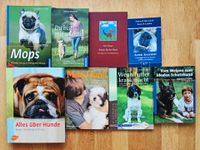 Bücher Hunde Training Mops Futter Krankheit Erziehung Kräuter Leipzig - Plagwitz Vorschau